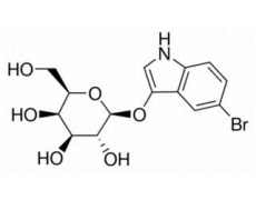 酶類
