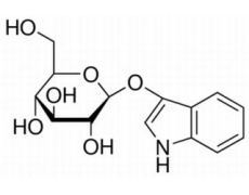 碳水化合物類