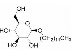 碳水化合物類