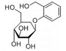 碳水化合物類