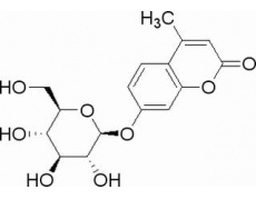 碳水化合物類