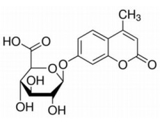 碳水化合物類