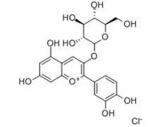 碳水化合物類
