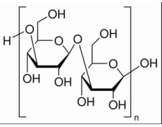 碳水化合物類
