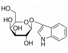 碳水化合物類