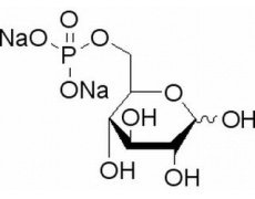 碳水化合物類(lèi)
