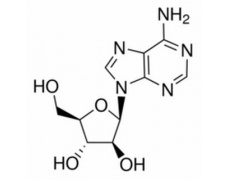 植物激素及核酸類