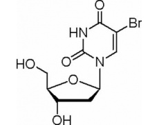 植物激素及核酸類