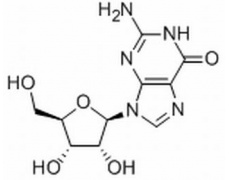 植物激素及核酸類