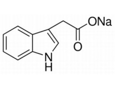 植物激素及核酸類