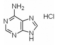 植物激素及核酸類