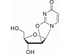植物激素及核酸類