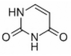 植物激素及核酸類