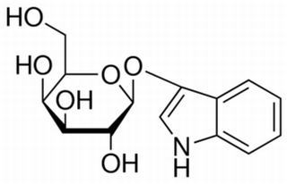 碳水化合物類(lèi)