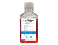 LUC細胞專用培養基