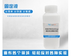 固定液