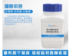 細胞染色