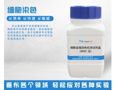 細胞染色