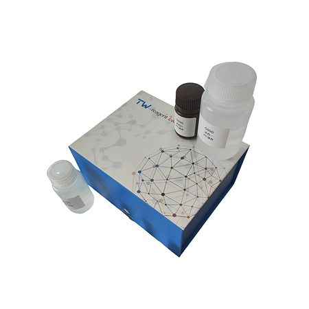 亮氨酸氨基肽酶(Leucine Aminopeptidase, LAP) 亮氨酸氨基肽酶(Leucine Aminopeptidase, LAP)